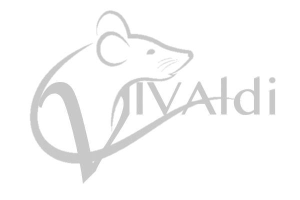 VIVAldi Logo